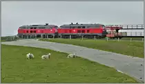 ARZ1426 von Niebüll nach Westerland/Sylt mit 218 343-2 und 218 488-5 am Beginn des Hindenburgdamms. (21.05.2019)