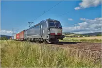 X4E -613 (193 613-7) / Reilos / 03.07.2019