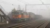 Am 16. November 2018 waren 753 726-9 und 753 732-7 in Zelenice nad Bilinou unterwegs. Witzig war, dass sich der  Frühnebel  bis 14 Uhr hielt :-) 