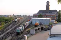 BEHALA 20 (277 406) + EGP 140 xxx // Güterbahnhof Berlin-Westhafen // 24. Mai 2019