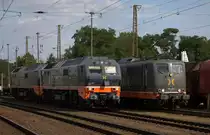 Coswig (Dresden)ist Einsatzstelle für Lokomotiven des EVU Hektorrail.
Hier 2 Diesel- und eine E-Lok im Bild. 162 002 und 861 004 mit einer Schwesterlok.
Baureihe 151 und die Lokomotiven der BR 251.

 Unsere Lokomotiven sind ein Kernstück unserer Arbeit. Sie haben ihre Eigenarten und tragen deshalb wie alle Mitarbeiter auch einen eigenen Namen. Jeder Lokomotiventyp hat außerdem seine eigenen Eigenschaften – einige sind rau, andere stark, wieder andere sehr zäh. Wir versuchen, unseren Loks Namen zu geben, die ihre Persönlichkeit zum Ausdruck bringen. Durch die Namensgebung werden unsere Loks wie Personen für uns und erhalten die Aufmerksamkeit, die sie verdienen. 

Dies Zitat stammt von der Website des schwedischen EVU.
17.07.2019 17:13 Uhr.