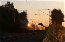 Bei sehr flach stehender Sonne -

S-Bahnzug der Baureihe 430 auf der S2 bei Weinstadt-Endersbach.

23.07.2010 (M)