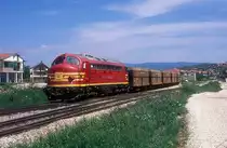 trainkos 008  Drenas  10.05.13