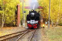 Einfahrt von 99 6001 mit P 8965 (Gernrode - Hasselfelde) am Nachmittag des 20.10.2018 in den Haltepunkt Silberhütte/Anhalt. (Bild 1)