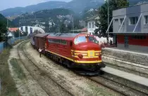 trainkos 008  Hani - Glezit  24.08.09