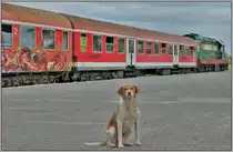 Die  Nachtwache  auf dem Bahnsteig von Shkoder vermag die Vandalen auch nicht abzuhalten. (16.07.2019)