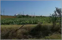 Der TGV Lyria 9880 von Zürich nach Paris zeigt sich kurz nach seiner Abfahrt in Belfort-Montbéliard TGV und wird unmittelbar darauf den hier nicht zu sehenden Viaduc de la Savoureuse erreichen.

23. Juli 2019