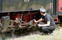 06.08.2016, Die Cottbuser Parkeisenbahn fuhr heute mit ihrer Dampflok 99 0001, der 1918 von Linke-Hofmann in Breslau für die Heeresfeldbahnen gebauten Brigadelok HF2257. Diese Lok zog 1954 den Eröffnungszug der damaligen Pioniereisenbahn.