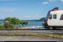 Die einspurige Bahnstrecke rund um Ligerz wird in den nächsten Jahren durch einen doppelspurigen Tunnel ersetzt. Der einspurige Streckenabschnitt stellt auf der wichtigen Ost-West-Achse am Jurasüdfuss einen grossen Kapazitätsengpass dar. <br>
Auch die Einwohner von Ligerz stehen grösstenteils hinter der geplanten Verlegung, obwohl sie dadurch ihren Bahnhalt verlieren werden. Die insbesondere für den Güterverkehr wichtige Strecke sorgt heute rund um die Uhr für Lärm und trennt das Dorf vom See. Das soll mit diesem Bild veranschaulicht werden soll. Ligerz, 21. Juli 2019.