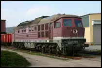 Am Eingang zum BW Saalfeld präsentiert sich hier am 23.4.2005 die 232198-2 noch in alter Lackierung.