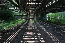Unter der Brücke -

Ein Licht und Schattenspiel. Bahnbrücke über den Wöhrder See in Nürnberg.

27.07.2019 (M)

