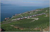 Das Fête des Vignerons 2019 ist Geschichte, die Bierbrauer können eine positive Bilanz ziehen und auch der öV glänzte. Wie erwartet bot der beachtliche Zusatzverkehr, der grösstenteils mit RABe 511 und ABeh 2/6 bewältigt wurde, wenige Bahnspezifische Fotomotive. Trotzdem hier ein kleiner Rückblick auf das Fêtes des Vignerons 2019: 

Das Bild weckt Erinnerung an den  Sommerfahrplan 2018 , doch dieser RABe blieb in der Region und pendelte den ganzen Tag zwischen Vevey und Puidoux (bzw. Palézieux) hin und her, ohne jedoch die Bedarfshalte Vevey-Funi und Corseaux-Cornalles zu bedienen 

Im Bild der SBB RABe 511 104 kurz vor Chexbres-Village am 26. Juli 2019 

