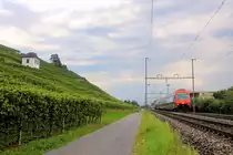 In den Rebbergen am Zürichsee - S7 nach Winterthur, gestossen von Lok 450 026. Bei Uerikon, 6.August 2019 