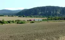 Im Rahmen der am 11.08.2019 im Bahnhof Herzberg/Harz statt gefundenen kleinen Bahnhofsfeier wurde das 150 jährige Bestehen/Eröffnung (01.08.1869)der Strecke Northeim-Nordhausen gefeiert. Einstmals bis 1945 eine der wichtigsten Magistralen im Güterfernverkehr Ruhrgebiet-Mitteldeutschland-Schlesien versank sie nach der Grenzziehung 1945 (fast) in der Bedeutungslosigkeit.Als einziger nur dem Güterverkehr vorbehaltene Grenzüberschreitende Strecke mit dem Übergang Walkenried-Ellrich konnte ihr Bestehen garantiert werden.
Es gibt an dieser landschaftlich schönen Südharzrandstrecke noch Etliches zu erkunden,ich möchte es erstmal dabei belassen.
Neben einer Fahrzeugtaufe auf den Namen  Bad Lauterberg  eines  normalen Triebwagens hatte man es geschafft, den Schienenbuszug der Wisentatalbahn komplett zu chartern, um auch noch mal auf zuzeigen, wie es in den 60gern war,als man noch als Fahrschüler nach Northeim pendelte und pünklich am Ort der Schulen abgeliefert wurde. Der Triebzug kam über Nordhausen nach Herzberg gefahren und fuhr eigentlich den ganzen Tag voll besetzt und von vielen Ehemaligen wieder erkannt zweimal nach Northeim und zurück.
Hier hat er gerade das Formvorsignal des Bahnhofs Herzberg kurz hinter Scharzfeld passiert und nimmt mit dem sonoren Brummen der zwei Diesel die letzte Steigung auf Bahnhofshöhe.     