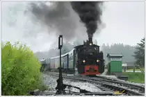 764-411R der Stainzer Bahn mit dem Stainzer Flascherlzug am 28.7.2019 kurz nach der Ausfahrt aus Preding Richtung Stainz in Wohlsdorf aufgenommen. (Da die Maschine zur Zeit kein Licht hat, hab ich ihr die Lichter von 44 2546 verpasst) 