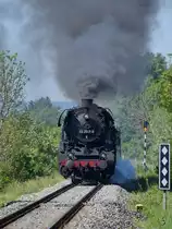 Glück gehabt. Nichtsahnend unterwegs gingen an einem Bahnübergang bei Oettingen die Schranken nieder. Dann hörte man den unverkennbaren Ton einer Dampfpfeife und plötzlich verließen viele Wartende ihre Autos. Wenig später war dann auch schon die dampfende 44 2546-8 zu sehen. (Juni 2019)