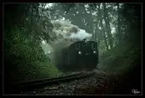 Durch die Wälder nahe Kraubath, rollt die CFF Dampflok 764 411R Reghin mit dem Stainzer Flascherlzug von Stainz nach Preding. 
Kraubath 27.07.2019