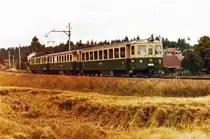 ERINNERUNG AN DIE GRÜNE SOLOTHURN-ZOLLIKOFEN-BERN-BAHN SZB.
Pendelzug bestehend aus dem Bt 216 + AB 301 + BDe 4/4 1 auf voller Fahrt zwischen Küttigkofen-Kräiligen und Bätterkinden im Juli 1984.
Foto: Walter Ruetsch