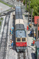 Auch gut frequentiert waren an diesem Tag die Personenzüge die durch den Garten donnerten. 
18.08.2019