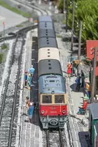 Auch gut frequentiert waren an diesem Tag die Personenzüge die durch den Garten donnerten. 
18.08.2019