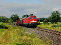 Die 232 571 mit einem Güterzug am 11.08.2012 unterwegs bei Rothenstadt.