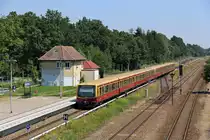 DB (S-Bahn Berlin) 481 xxx // Hoppegarten (Mark) // 24. Juni 2016