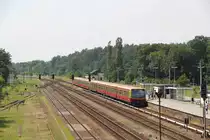 DB (S-Bahn Berlin) 481 xxx // Strausberg // 25. Juni 2016
