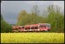 Als Leer- bzw. Überführungsfahrt kam am 27.4.2005 der DB 643070 mit einem zweiten angehängten VT über die Rollbahn nach Osnabrück. Das Foto entstand an der Landesgrenze NRW zu Niedersachsen bei Natrup Hagen.