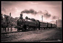 Die NBik Dampflok 93.1332 fährt für eine Englische Reisegruppe durch das wunderschöne Görschitztal, fotografiert nahe Eberstein.
26.07.2019