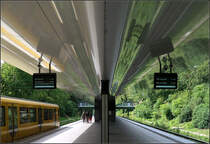 Von Gelb nach Grün -

U-Bahnhof Kiensberg (Garten der Welt) an der U5 in Berlin.

20.08.2019 (M)