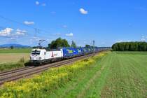 193 815 mit DGS 40656 am 16.08.2019 bei Stephansposching. 