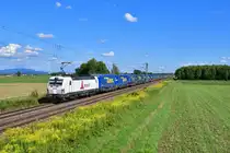 193 815 mit DGS 40656 am 16.08.2019 bei Stephansposching. 