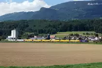 SBB CARGO.
Sechs verschiedene Güterzüge in der Landschaft verewigt bei Niederbipp am 30. August 2019.
Foto: Walter Ruetsch
