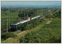 R�ckfahrt des Erlebniszug Zauberberge  EZ 1974  von M�rzzuschlag nach Wien, bespannt am 1.7.2007 wie in der Vorwoche mit 1010.10, diesmal allerdings auch mit einer  reinrassigen  Garnitur gr�ner Schlierenwagen, aufgenommen auf der H�he des S�dportals des Busserltunnels zwischen Pfaffst�tten und Gumpoldskirchen.