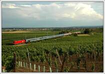 Wie mein Fotokollege Herbert Waldherr, habe auch ich, allerdings einen Tag sp�ter am 1.7.2007, den IC 630  Sternenturm Judenburg  von Villach nach Wien fotografiert. Standort wieder auf H�he des S�dportal des Busserltunnels zw. Pfaffst�tten und Gumpoldskirchen. 1016 kann ich auf dem Originalfoto noch erkennen, die restliche Nummer nicht mehr.
