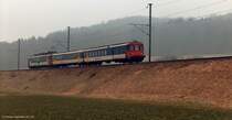EW II Pendel mit RBe 540 alls S 22 Schaffhausen-B�lach am 24.01.2004 zwischen Lottstetten-Rafz
