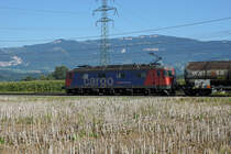 Die Wappen der Re 620.
OHNE WAPPEN - IMMER MEHR Re 620 von SBB CRGO.
Die verschiedenen Wappen gehören zu den Re 620 wie die Butter aufs Brot.
Trotzdem sind auf dem Schweizer Schienennetz in letzter Zeit immer mehr Re 620 ohne Wappen unterwegs.
Für mich stellt sich immer wieder die gleiche Frage:
Werden die Wappen im Auftrag von SBB CARGO oder durch WAPPENSAMMLER entfernt?
Während die am 4. September 2019 bei Deitingen fotografierte Re 620 008-3  Wetzikon  mit einem Kesselwagenzug ohne Wappen in Richtung Westen unterwegs war, präsentierte sich am selben Tag in Gerlafingen wenigstens noch die Re 620 029-9 mit dem Wappen Interlaken im schönsten Sonnenlicht dem Fotografen.
Foto: Walter Ruetsch 

