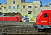 Hier b(e)wegt sich was:
Zwei Generationen der TRAXX-Familie von Bombardier inkl. Werbeplakat im Bahnhof Ludwigsburg auf einen Blick...
Während 147 009-5 von DB Regio Baden-Württemberg als RB 19177 von Heilbronn Hbf nach Stuttgart Hbf auf Gleis 4 steht, kommt ihr auf Gleis 5 ein KLV-Zug mit 185 234-2 DB Richtung Bietigheim-Bissingen entgegen.
Spontan aufgenommen von Bahnsteig 2/3.
[26.7.2019 | 9:33 Uhr]