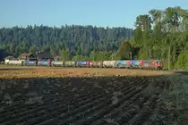 Re 620 051-3  DORNACH / ARLESHEIM  im herbstlichen Emmental unterwegs am 12. September 2019.
Mineralölzug Basel Birsfelden Hafen - Grünenmatt.
Herbstliche Stimmung mit Licht und Schatten.
Foto: Walter Ruetsch