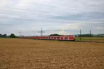 DB Regio S-Bahn Rhein Main 423 xxx + 423 xxx + 423 xxx am 09.09.19 bei Bad Vilbel Dortelweil 