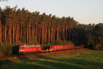 232 569-4 mit dem EZ 45367 (Nürnberg Rbf-Cheb) bei Irrenlohe 4.9.19