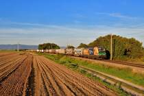 193 243 mit DGS 42952 am 20.09.2019 bei Otzing.