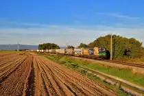 193 243 mit DGS 42952 am 20.09.2019 bei Otzing.