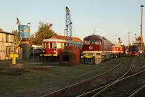 Historisches Bahnbetriebswerk Arnstadt.
Am 21. und 22. September fand das grosse Eisenbahnfest statt.
Impressionen verschiedener Fahrzeuge vom 20. September 2019 anlässlich der Nachtfotoparade von 19:00 Uhr bis 23:00 Uhr.
Foto: Walter Ruetsch