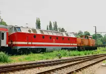 25. Mai 2000,  im Bw Saalfeld zieht 344 134-2 die Lok 219 195-5 mit ihrem Zug durch die Waschanlage.