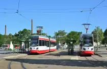 NGTW6-H	Tw1 links und Tw5 rechts stehen am Bahnhof Halberstadt. Tw1 links wird gleich auf der Linie 2 zur Herbigstraße starten.

Halberstadt 26.07.2019