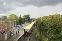 DB (S-Bahn Berlin) 481 xxx // Berlin Storkower Straße // 28. September 2019