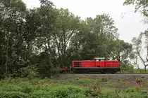 DB Cargo 294 614 // Im Dortmunder Fredebaumpark // 5. September 2014 

