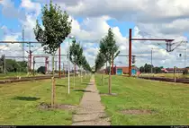 Der (legale) Weg von der Straße Nørregade zum Bahnhof Padborg st (DK) auf der Bahnstrecke Fredericia–Flensburg (KBS 65 (DSB)) ist als Allee mit grüner Wiese angelegt worden.
Links und rechts davon befinden sich die Gleise.
[3.8.2019 | 11:14 Uhr]