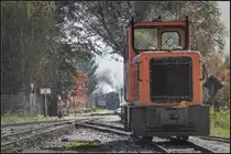 Die Stainzer  Hausresereve  alias Max wartet auf die Ankunft des Vormittagszugs. 
19.10.2019